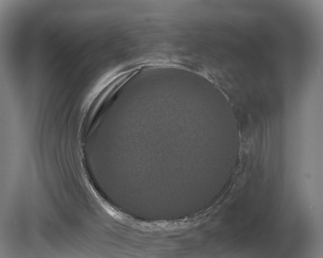 X0000081360005200701182125