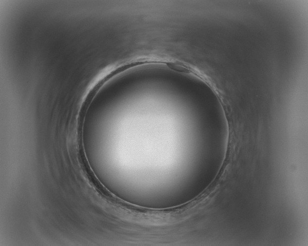 X0000081360008200701182125