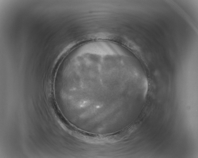 X0000081360012200701182125