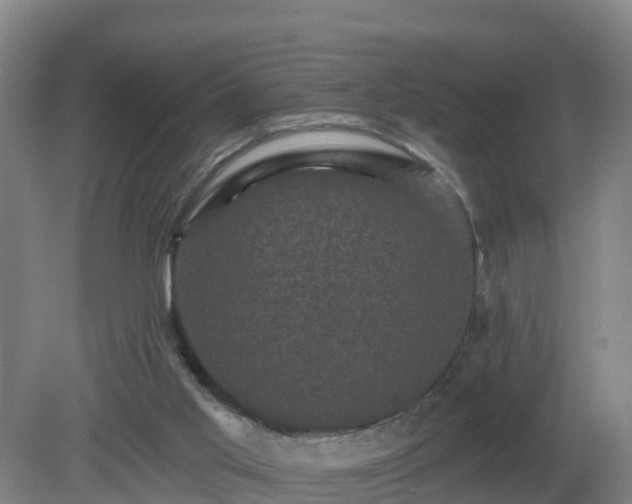 X0000081360013200701182125