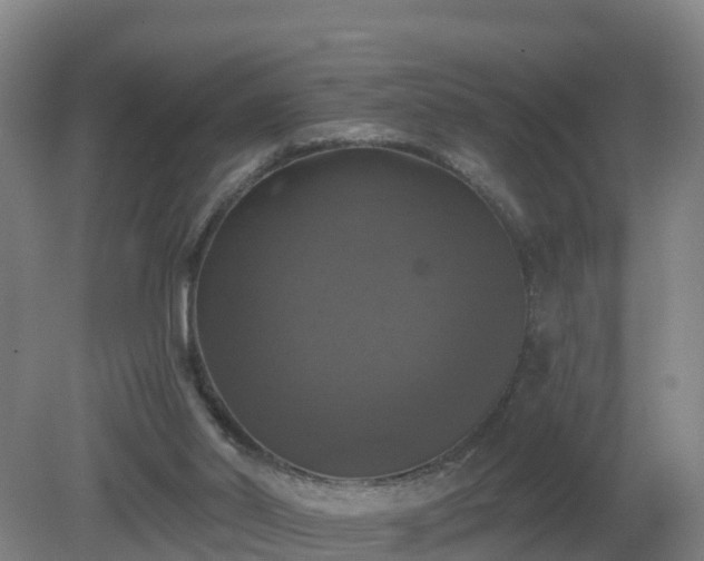 X0000081360014200701182125