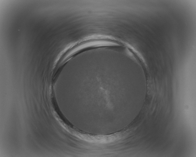 X0000081360015200701182125