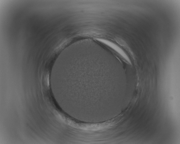 X0000081360021200701182124