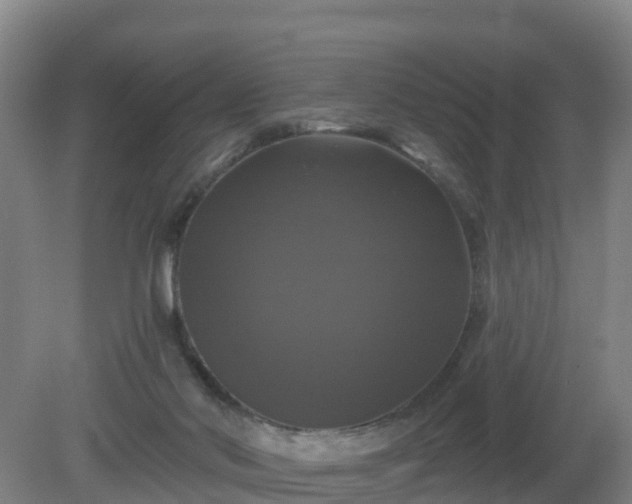 X0000081360022200701182124
