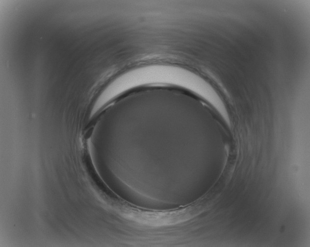 X0000081360023200701182124