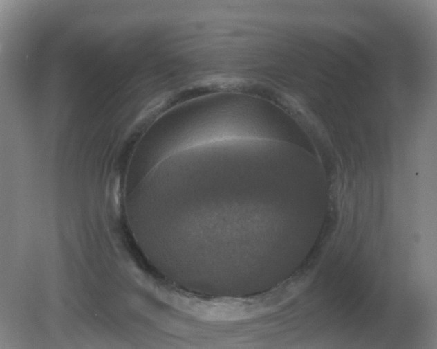 X0000081360024200701182124