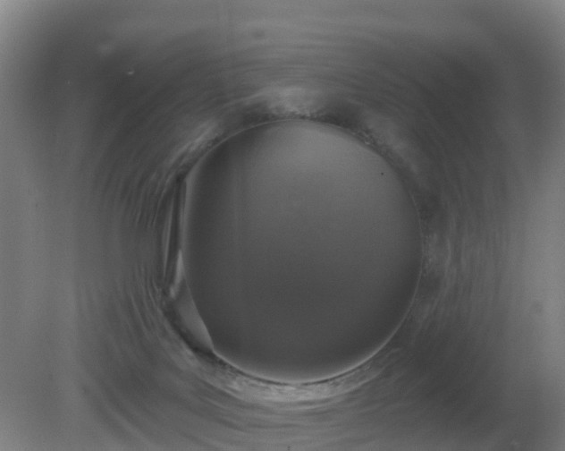 X0000081360027200701182124