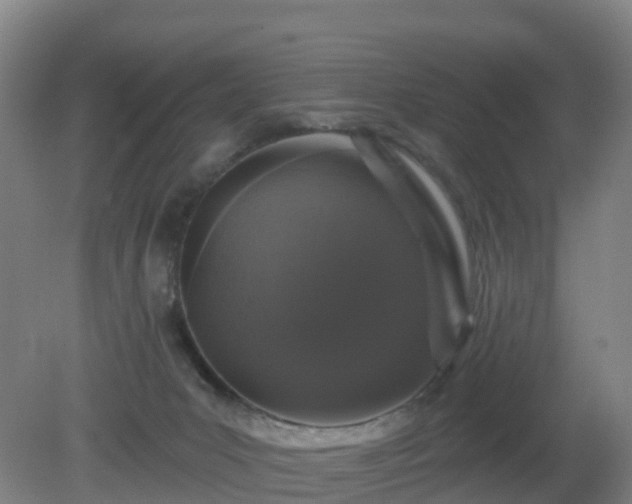 X0000081360031200701182124