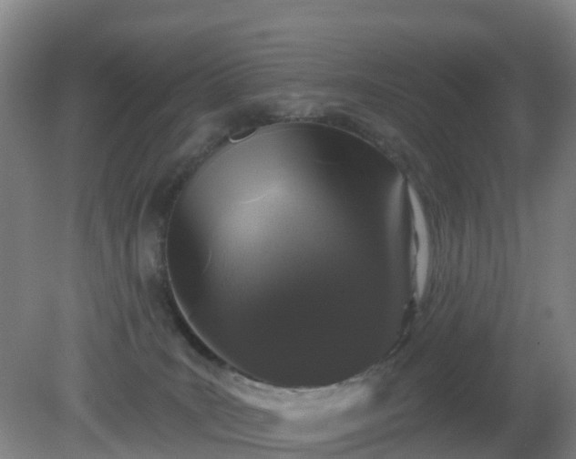 X0000081360035200701182124