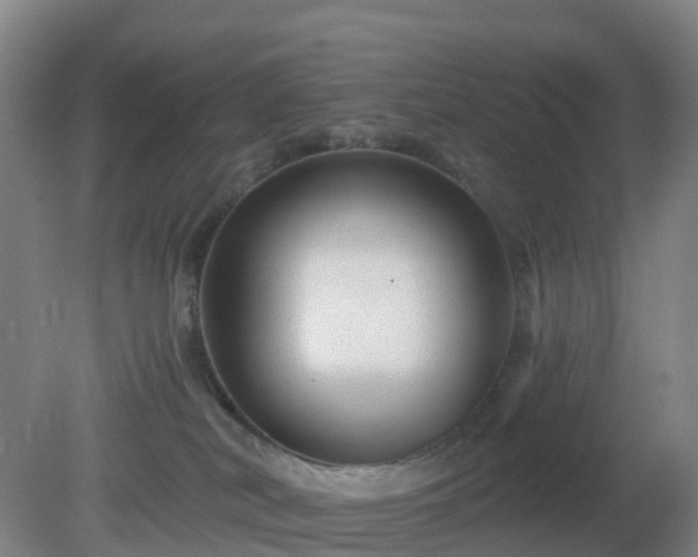 X0000081360038200701182124