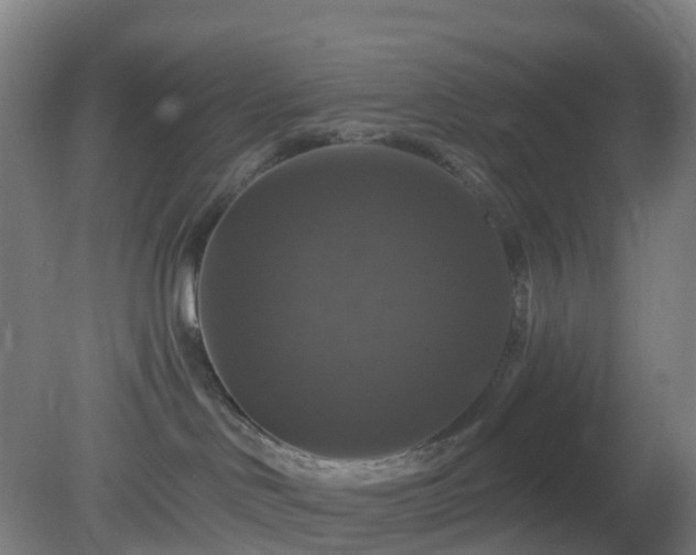 X0000081360046200701182124