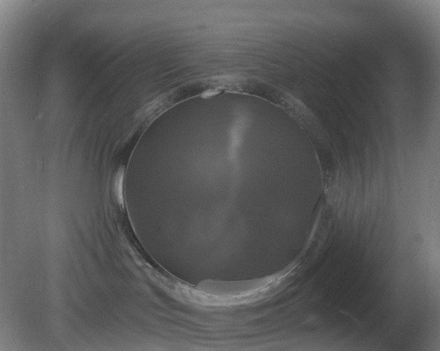 X0000081360047200701182124