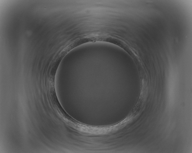 X0000081360048200701182124