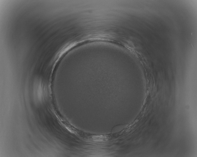 X0000081360050200701182123