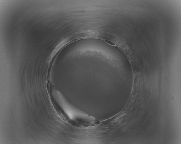 X0000081360051200701182123