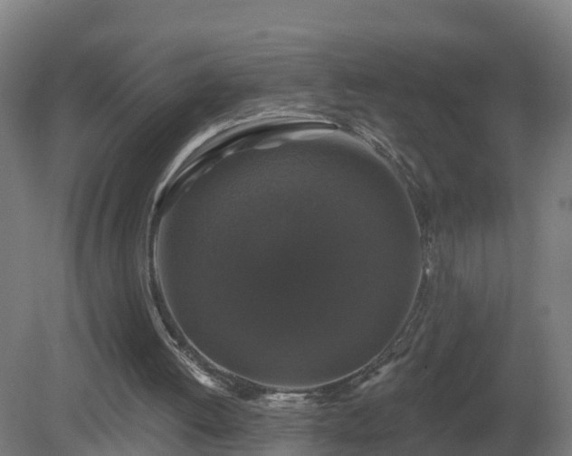 X0000081360052200701182123