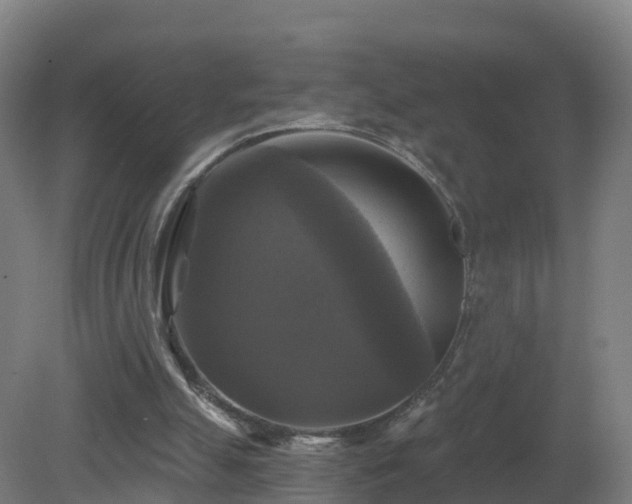 X0000081360055200701182123