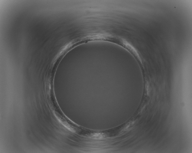 X0000081360059200701182123