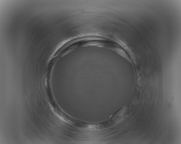 X0000081360060200701182123