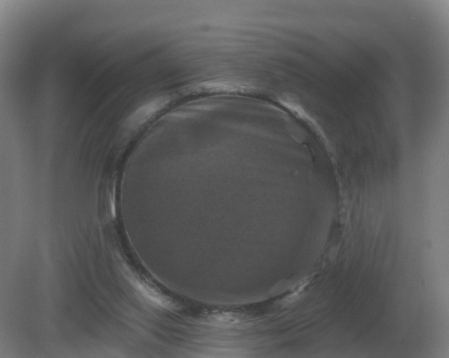 X0000081360062200701182123