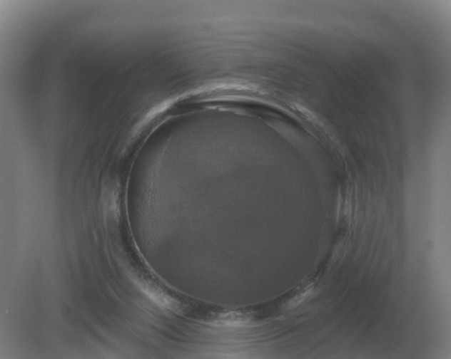 X0000081360064200701182123