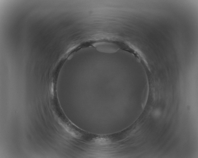 X0000081360067200701182124