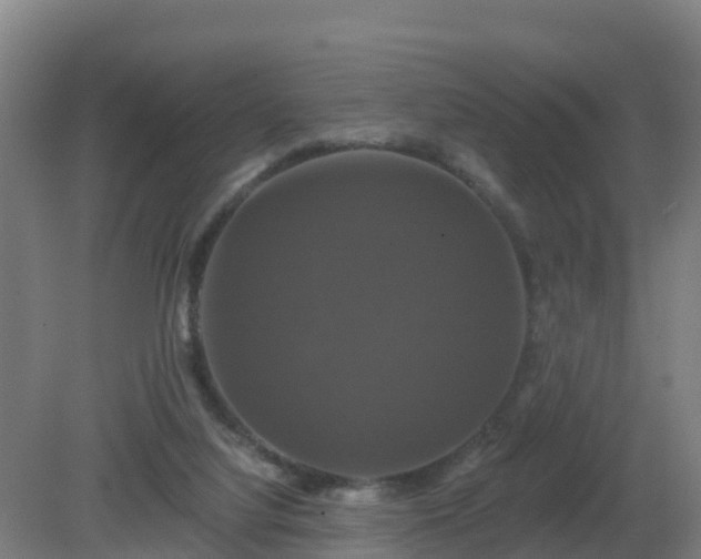X0000081360068200701182124