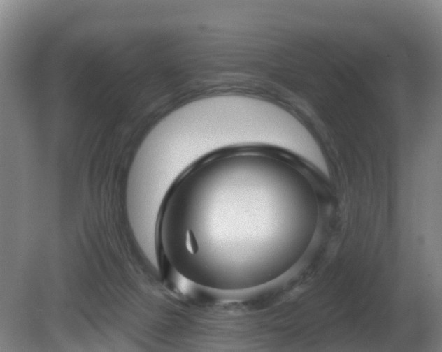 X0000081360073200701182124
