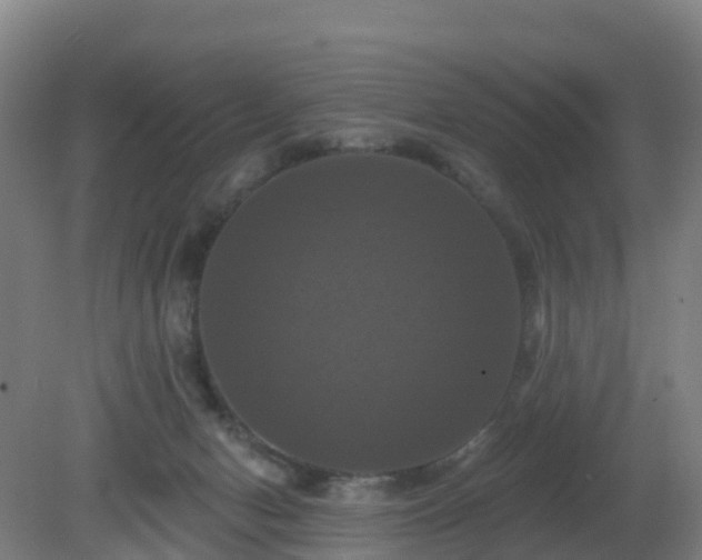 X0000081360078200701182124