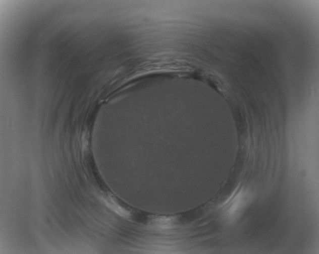 X0000081360081200701182124