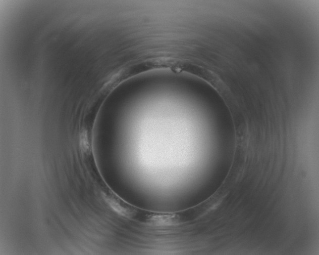 X0000081360089200701182124