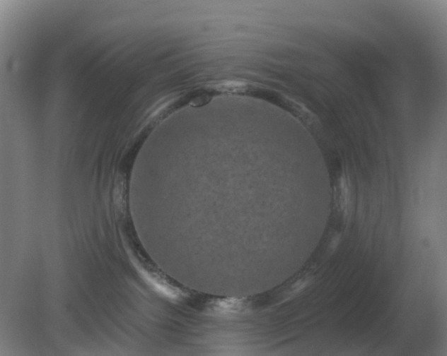 X0000081360092200701182124