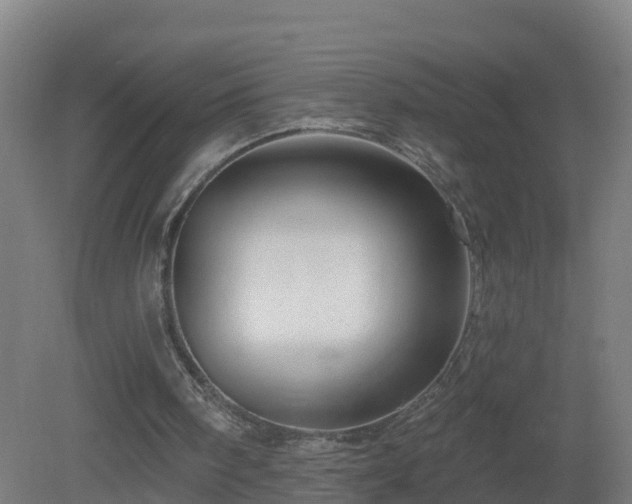 X0000081360098200701182123