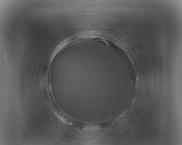 X0000081360099200701182123
