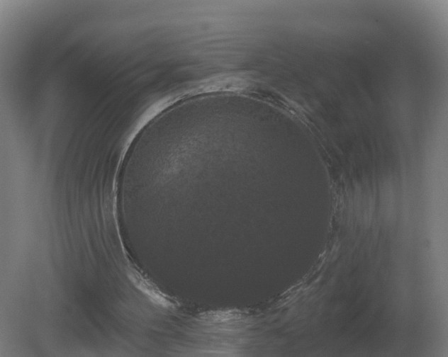 X0000081360100200701182123