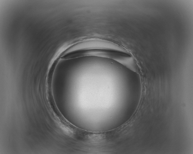 X0000081360102200701182123