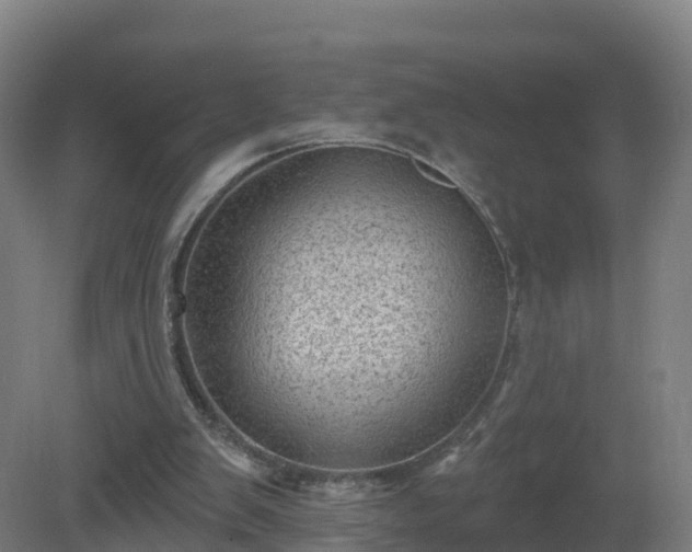 X0000081360103200701182123