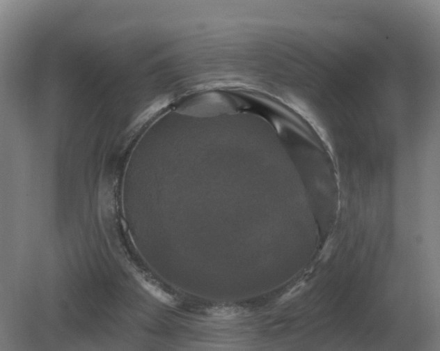 X0000081360105200701182123