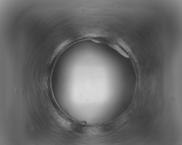X0000081360106200701182123