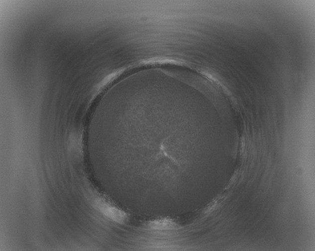 X0000081360112200701182123