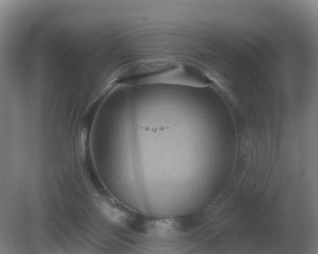 X0000081360118200701182123