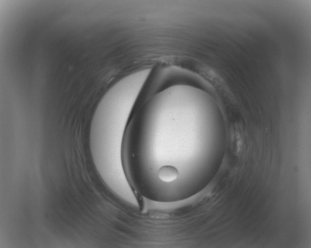 X0000081360123200701182123