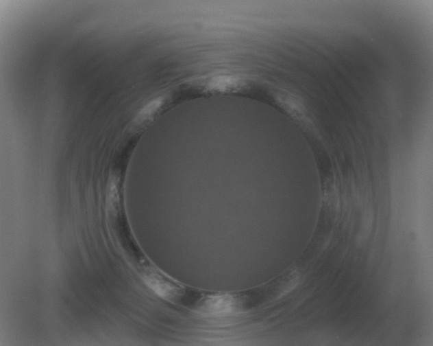 X0000081360127200701182123