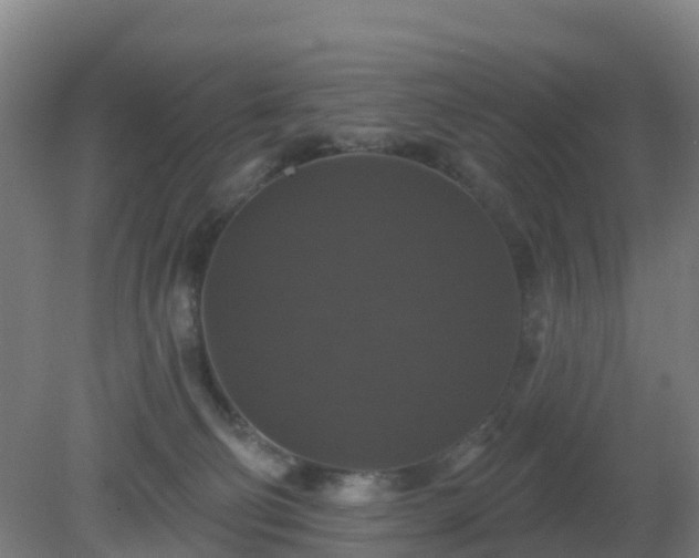 X0000081360130200701182123