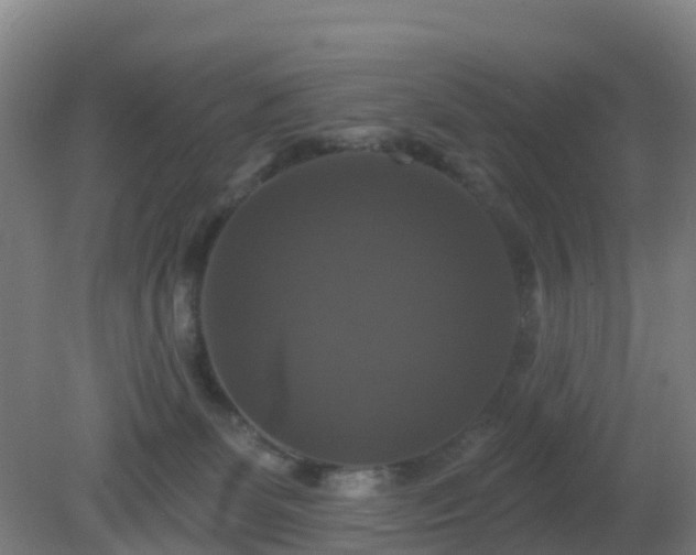 X0000081360131200701182123