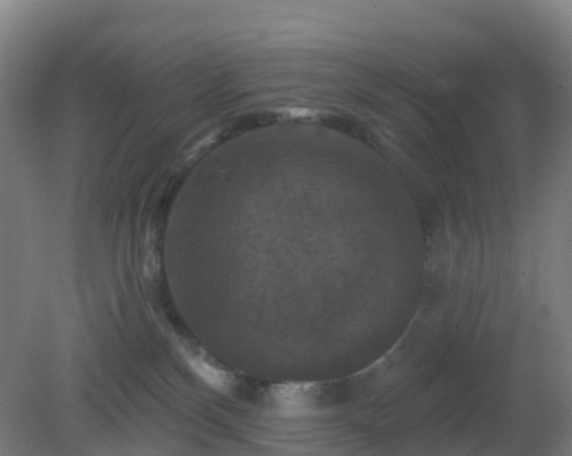 X0000081360136200701182123