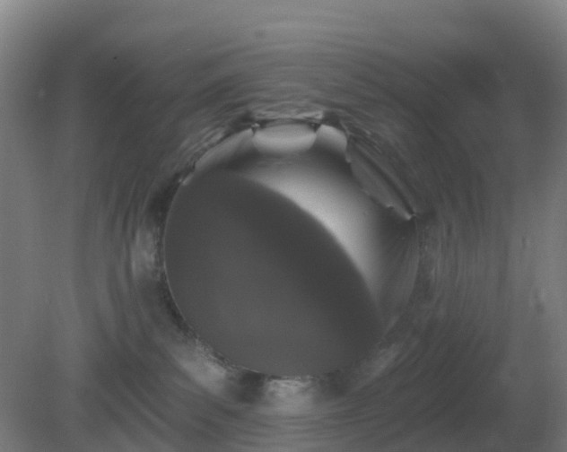 X0000081360139200701182122