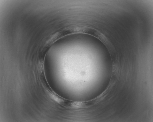 X0000081360142200701182122