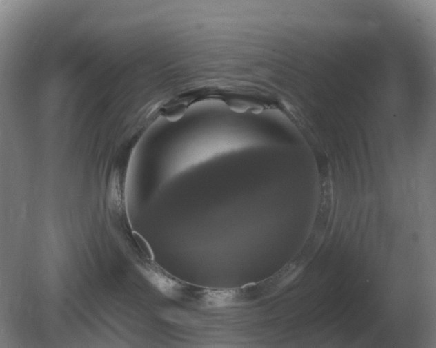 X0000081360143200701182122