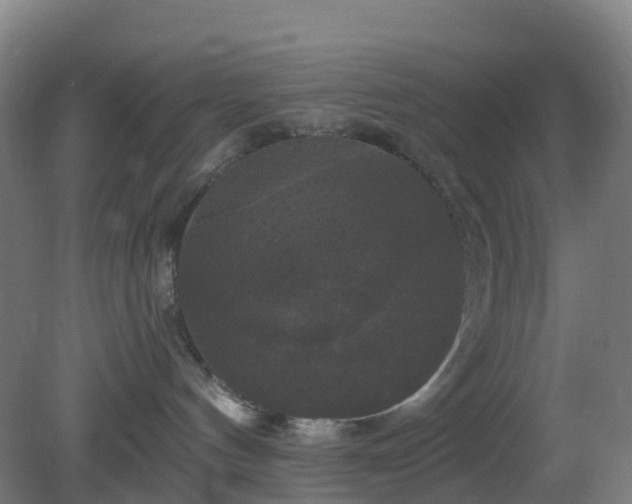 X0000081360144200701182122
